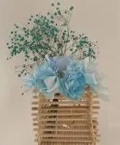 图片14.jpg 图片14.jpg