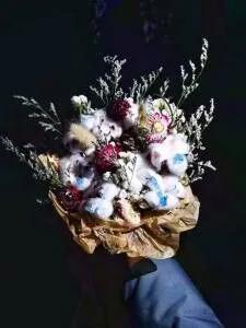 图片5.jpg 图片5.jpg